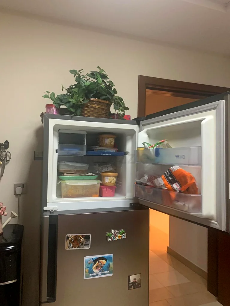 Whirlpool WTM 552 R SS Double Door Fridge, 450L FREE DELIVERY +WARRANTY63200165907075111