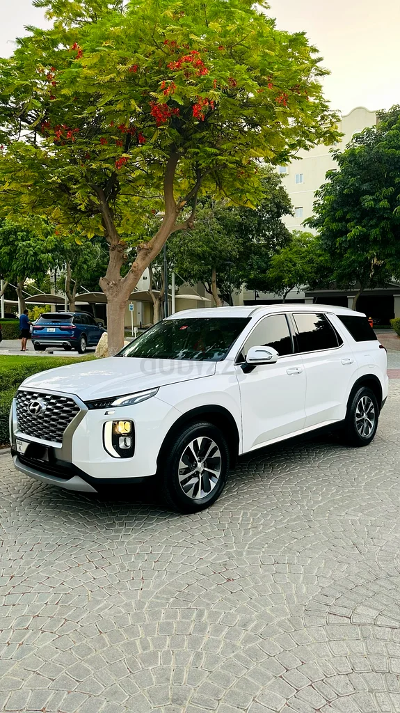 Palisade 2020 GCC ,Zero accident original paint under warranty