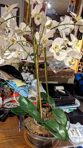Artificial plants