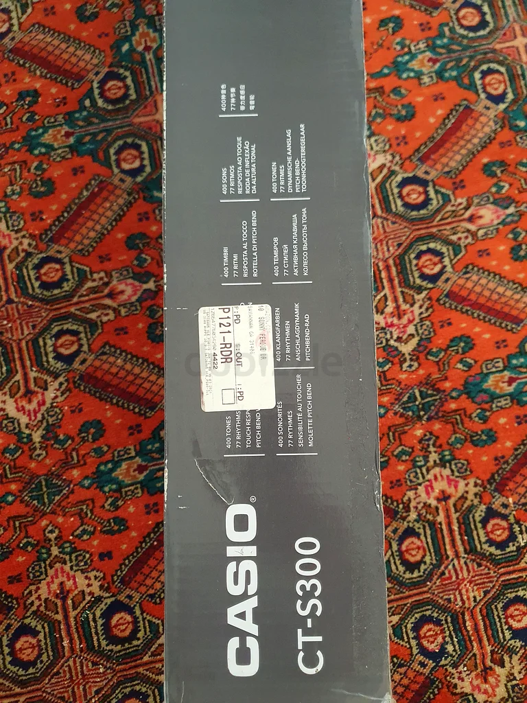 Casiotone CT-S30063229313830017113