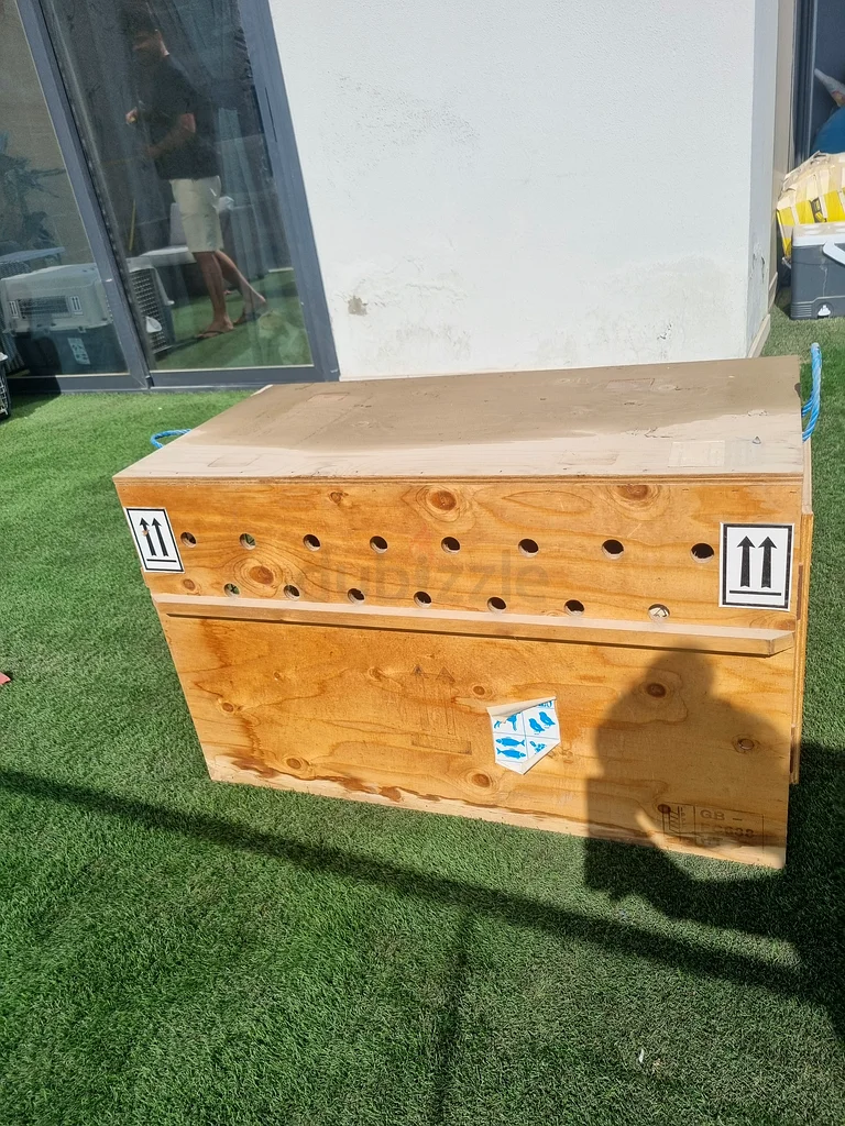 Pet crate airline approved