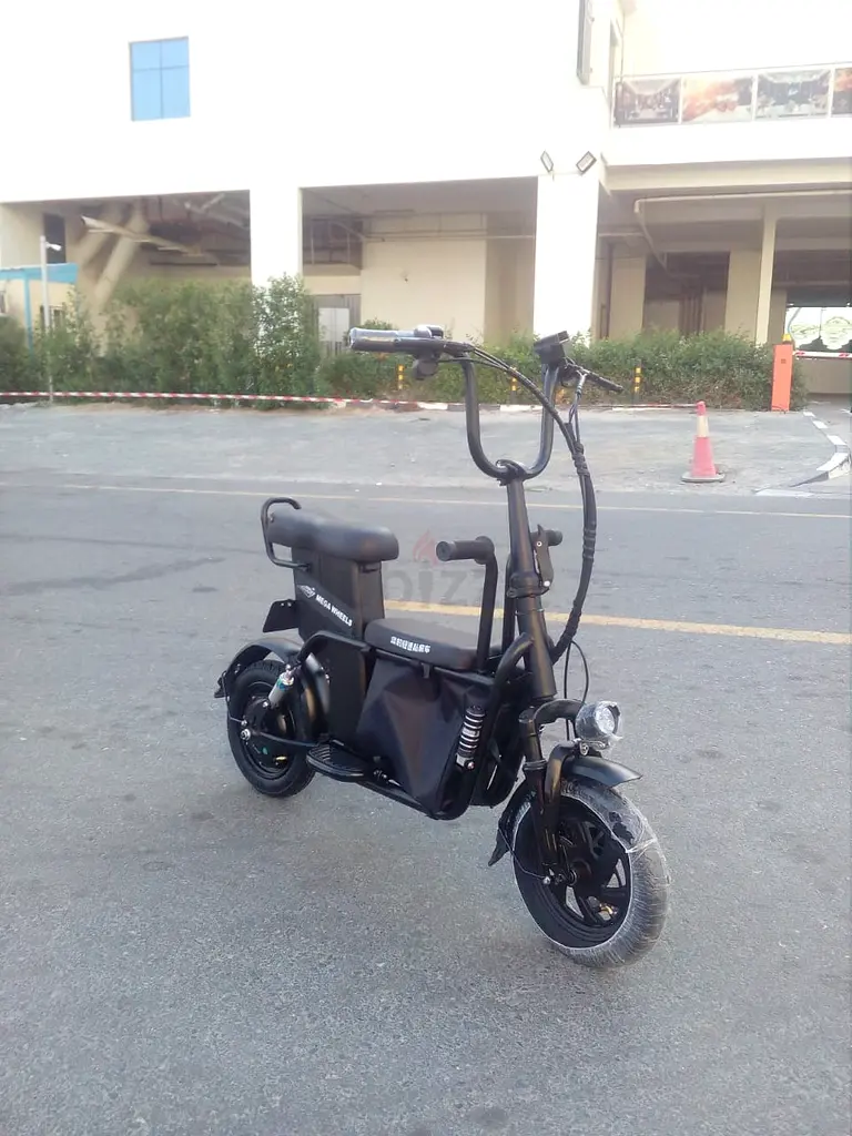 Removable battery 2 seater electric scooter inspired by Fido With free