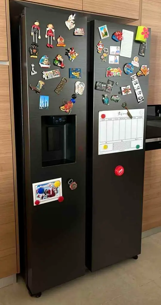 Samsung latest model side by side Refrigerator water Dispenser with ice