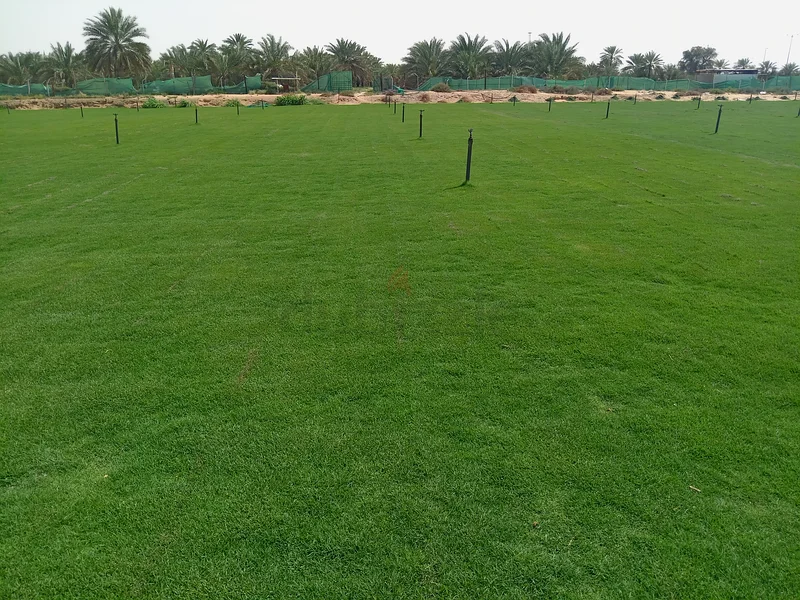 Natrul Grass63220827877763113