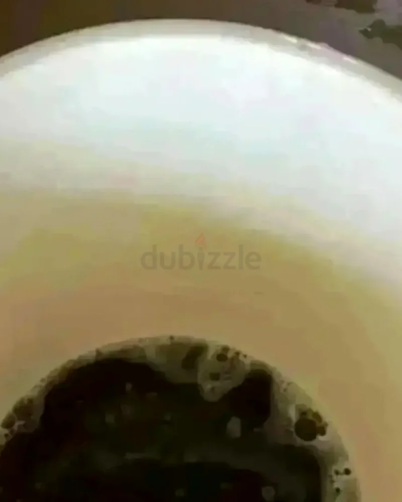 أفضل خدمة تنظيف أرائك وسجاد في الفجيرة63217337422594112