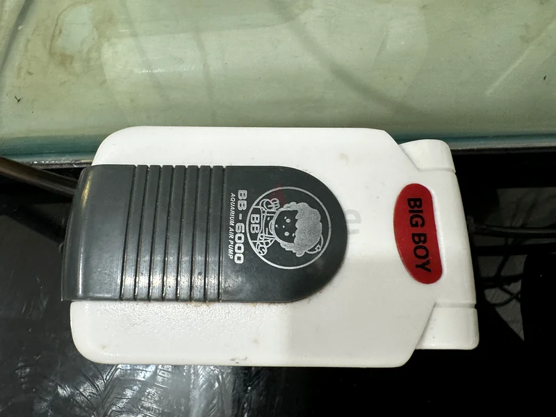 Aquarium with filter, heater, thermometer and light63232650082177113