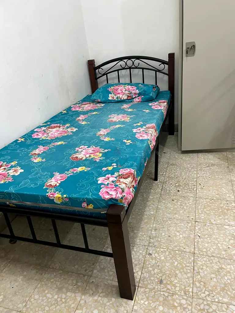 Apartment Fully furnished executive female bed space for rent in