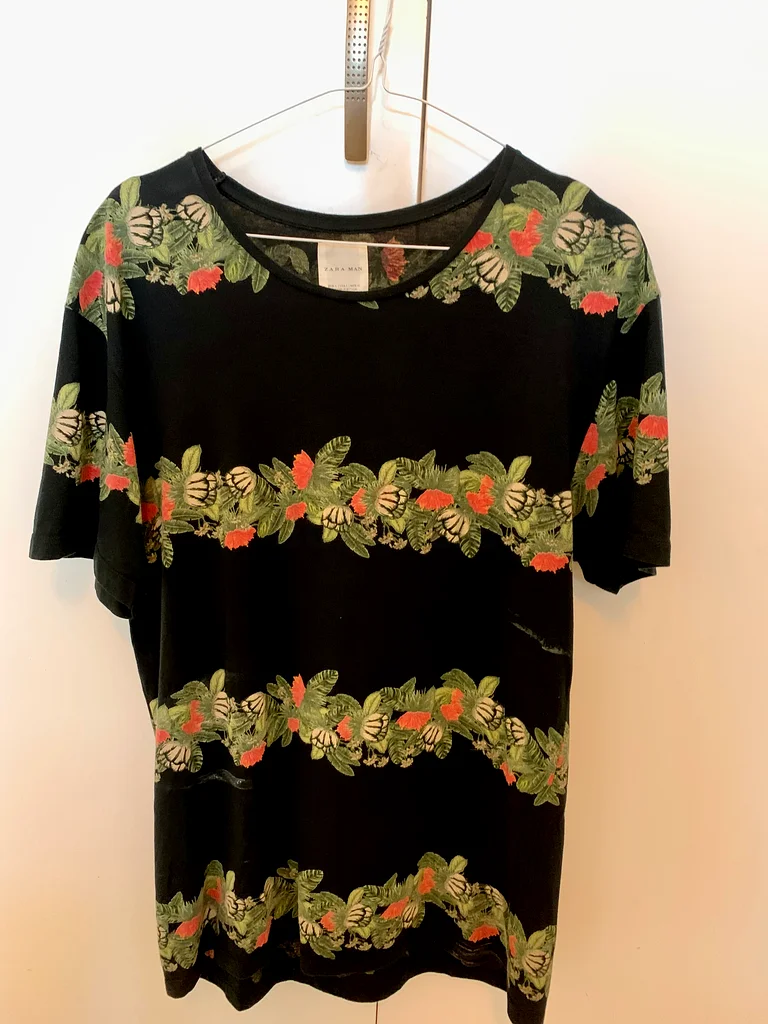 Men tshirt ZARA MEN (medium size)