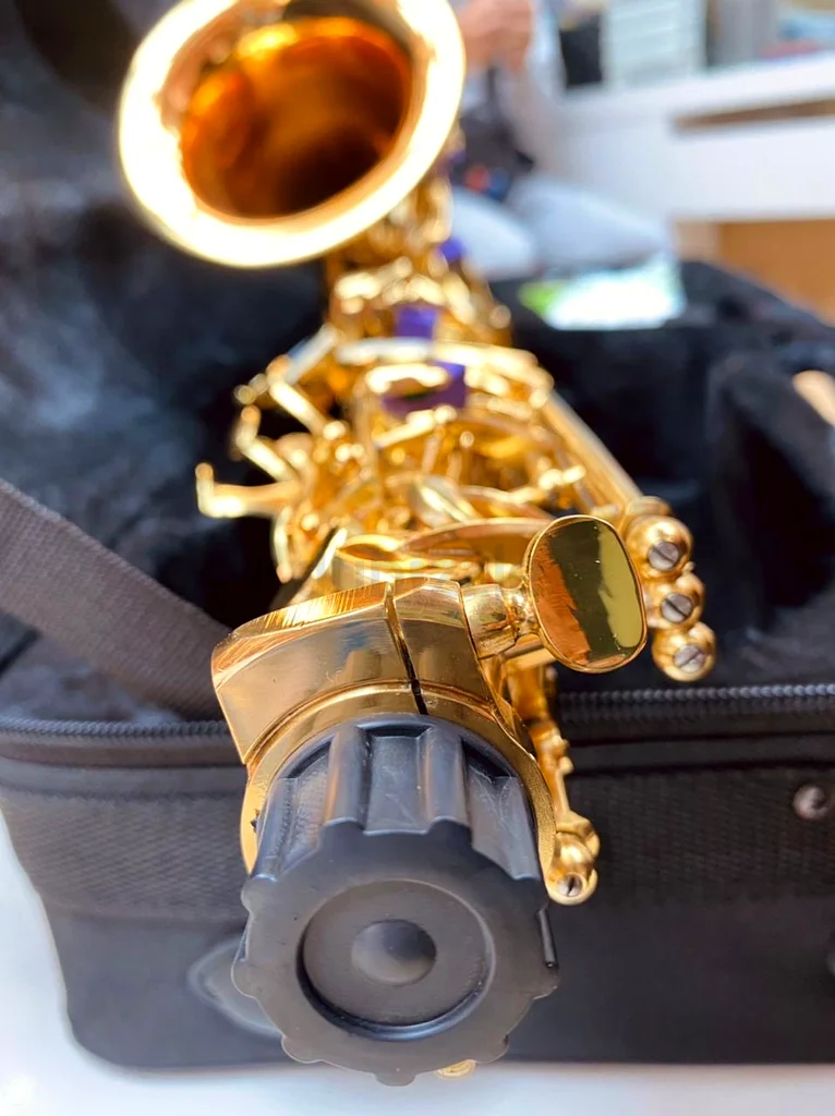 New saxophone, French model, delivery available63228313584257114
