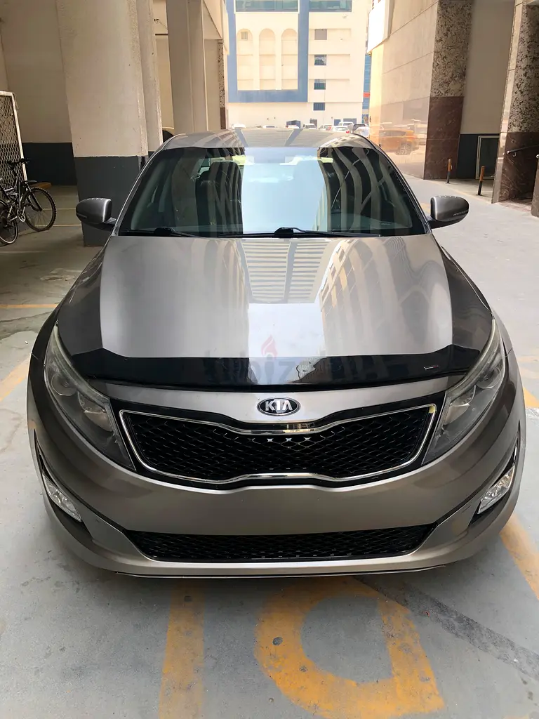 Optima American sport