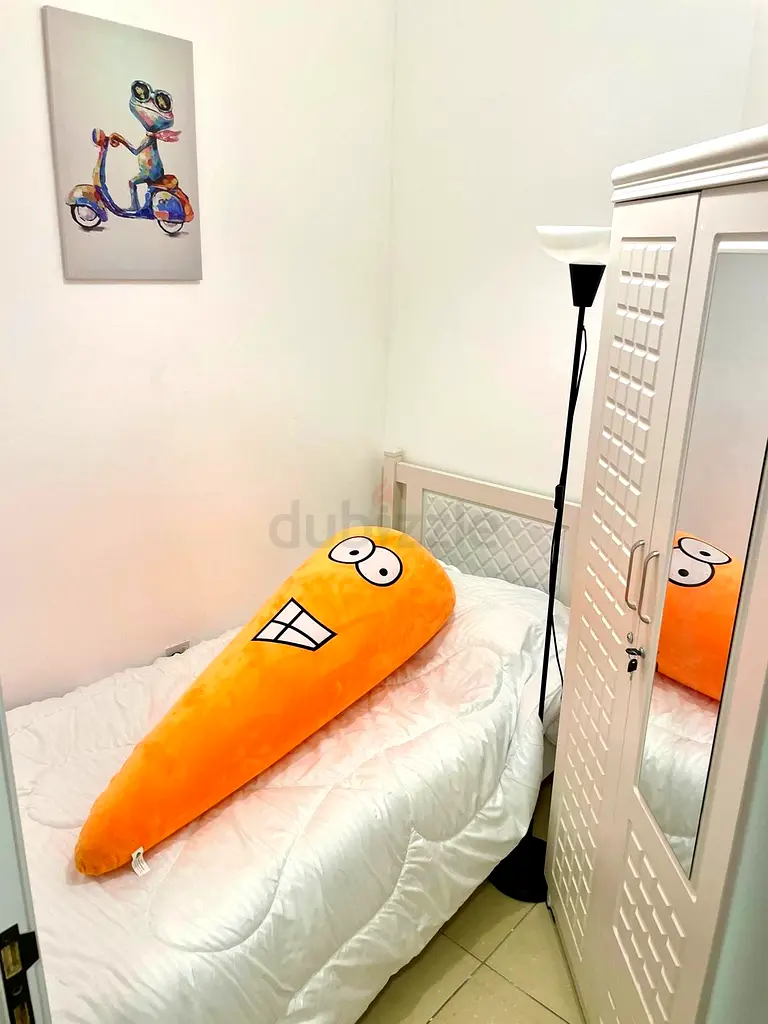 Apartment Nice cosy partition for a single person near to tram station