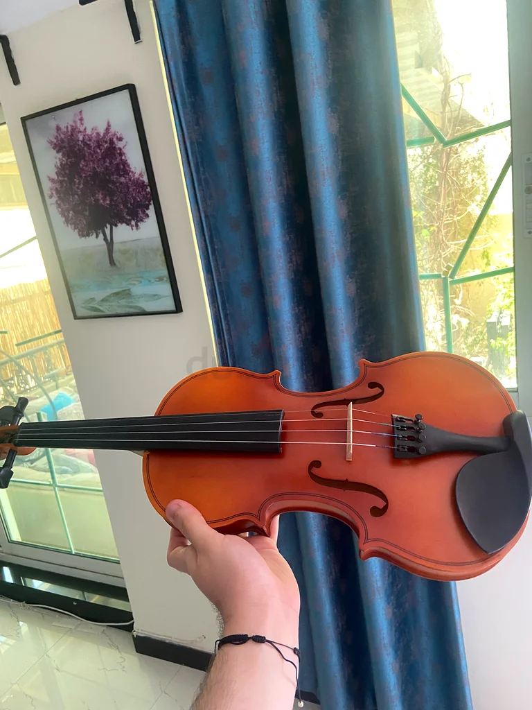 Violin