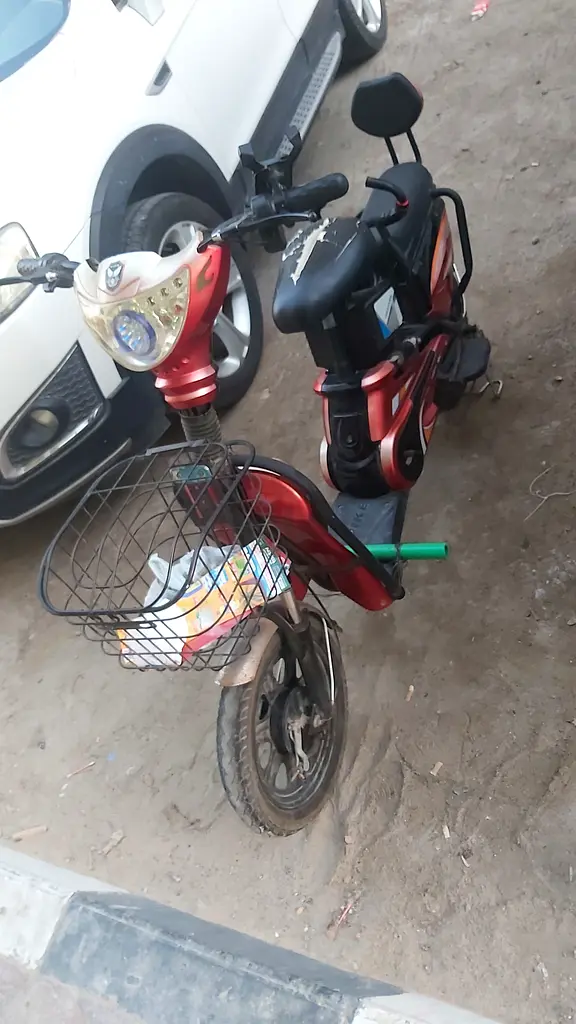 Electric Bike for sale