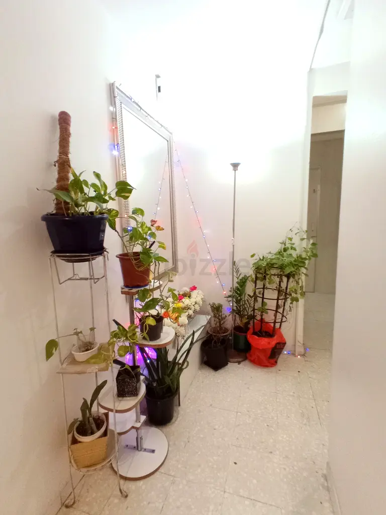 Apartment Ladies bedspace semi private Dubai