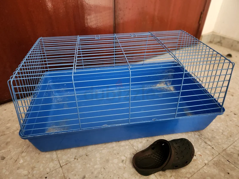 Large size Steel Pet cage for sale