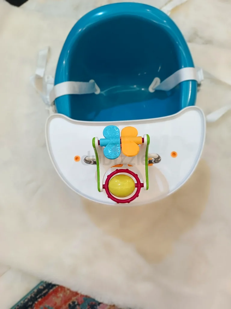 Baby booster chair