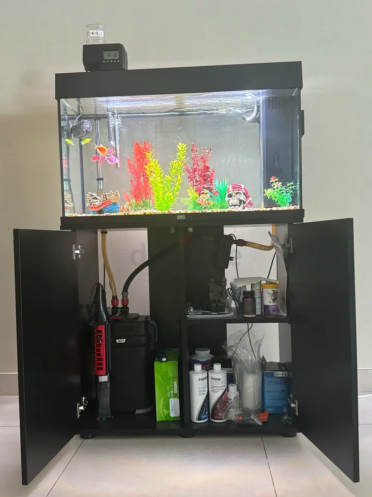 Fish tank with fish included