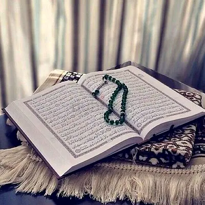 Asslamo alaikum dear parents female online Qaria available in very less amount of fee