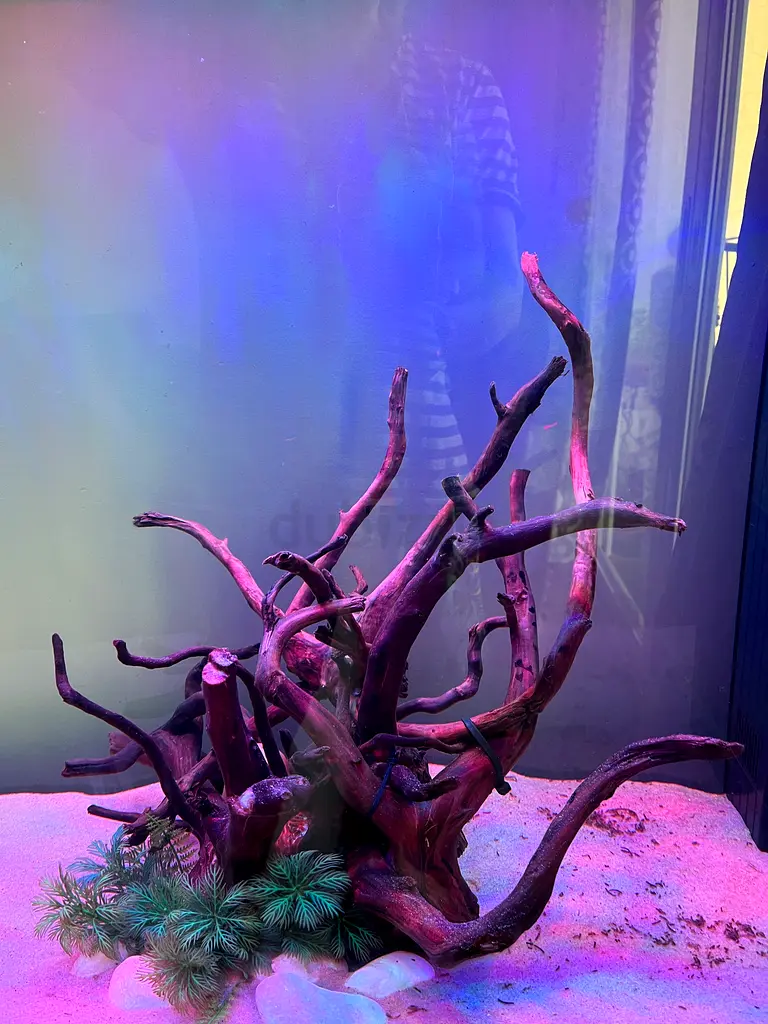 Aquarium Driftwood for Sale
