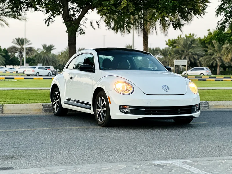 VOLKSWAGEN BEETLE MODEL 2015 USA SPACE63171298787713116