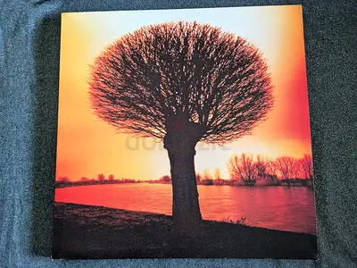 Decorative Canvas Scenery Orange Glow