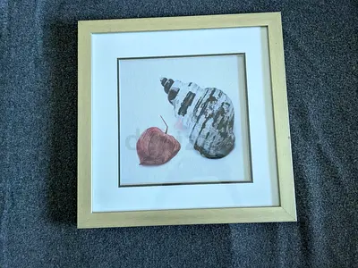 Wall hanging frame Shells