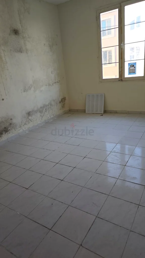 Apartment 1BHK FOR RENT Dubai