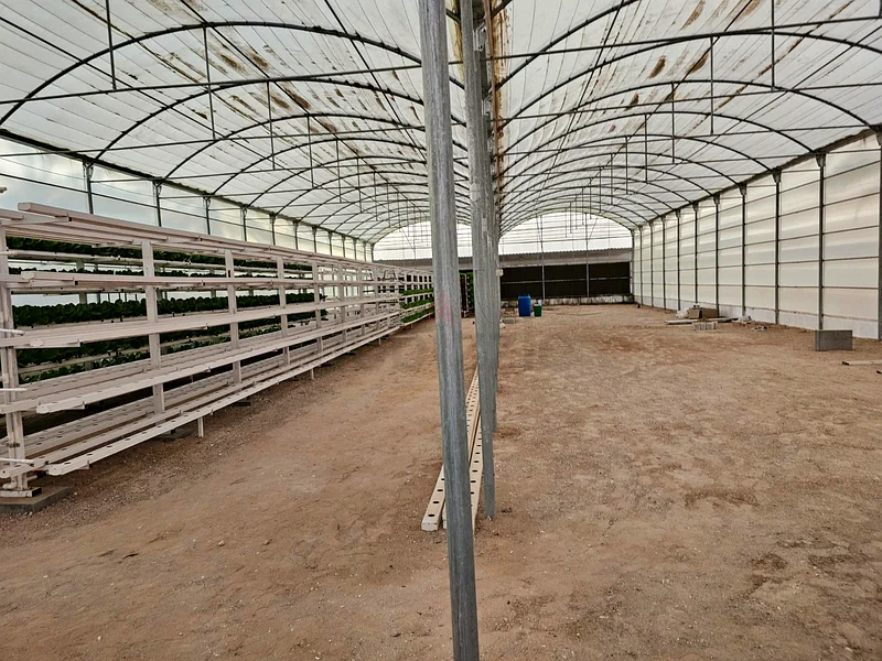 جرين هاوس مع انظمه زراعه مائيه للبيع...Green house with hydroponic systems for sale63258656527747113