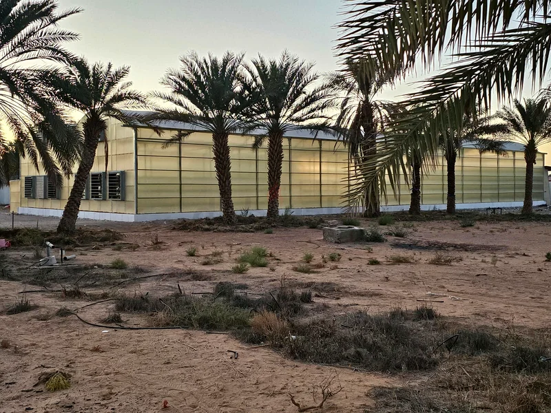 جرين هاوس مع انظمه زراعه مائيه للبيع...Green house with hydroponic systems for sale63258656527747112