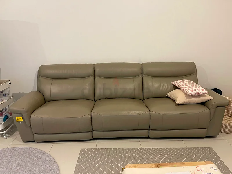 Used Sofa