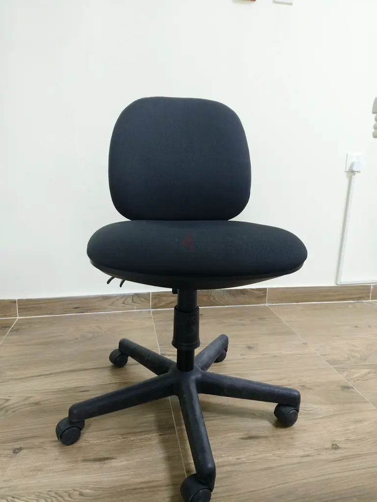 EXECUTIVE OFFICE CHAIR