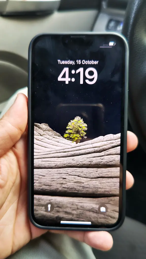 Iphone 13 pro max 256