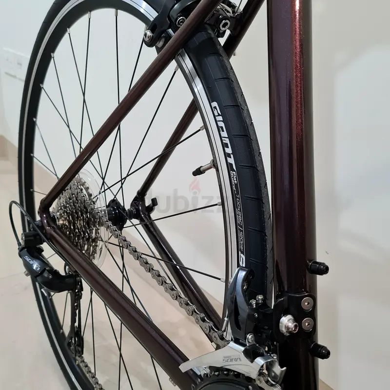 Giant Contend 1 Road Bike