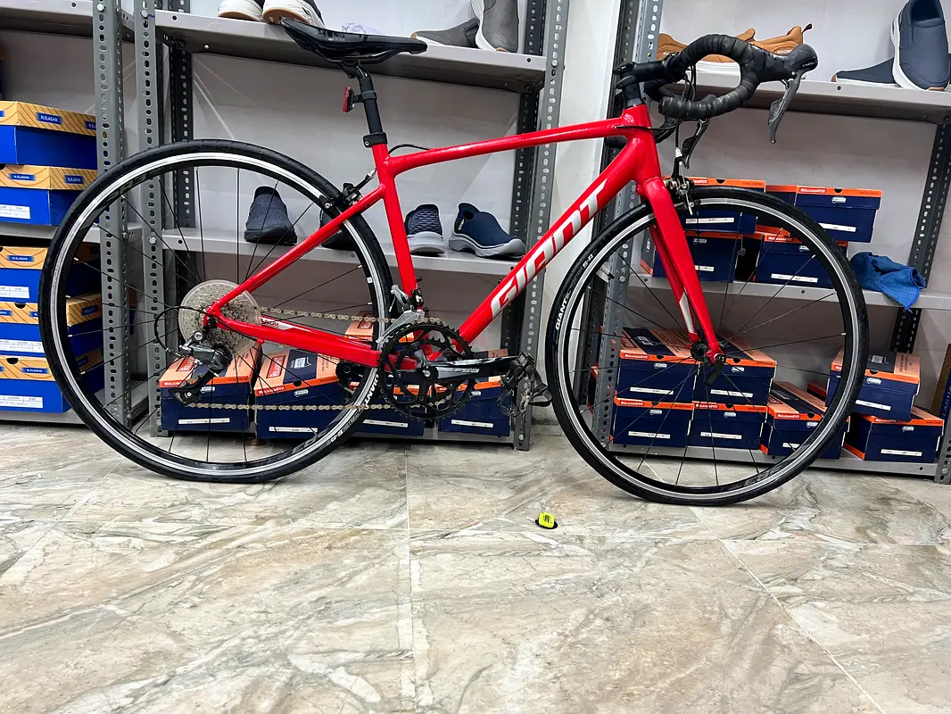 Cycle or Giant road bike