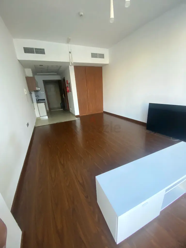 Apartment Spacious large studio Room Dubai