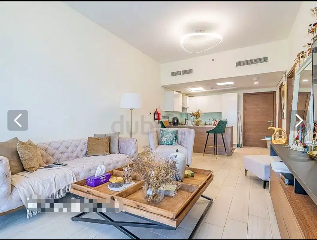 Apartment Spacious 1BR DIRECT From LANDLORD Dubai