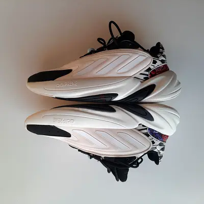 Adidas shoes