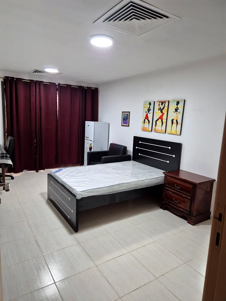 Apartment EXECUTIVE FEMALE SINGLE ROOM AVAILABLE FOR DECENT INDIAN