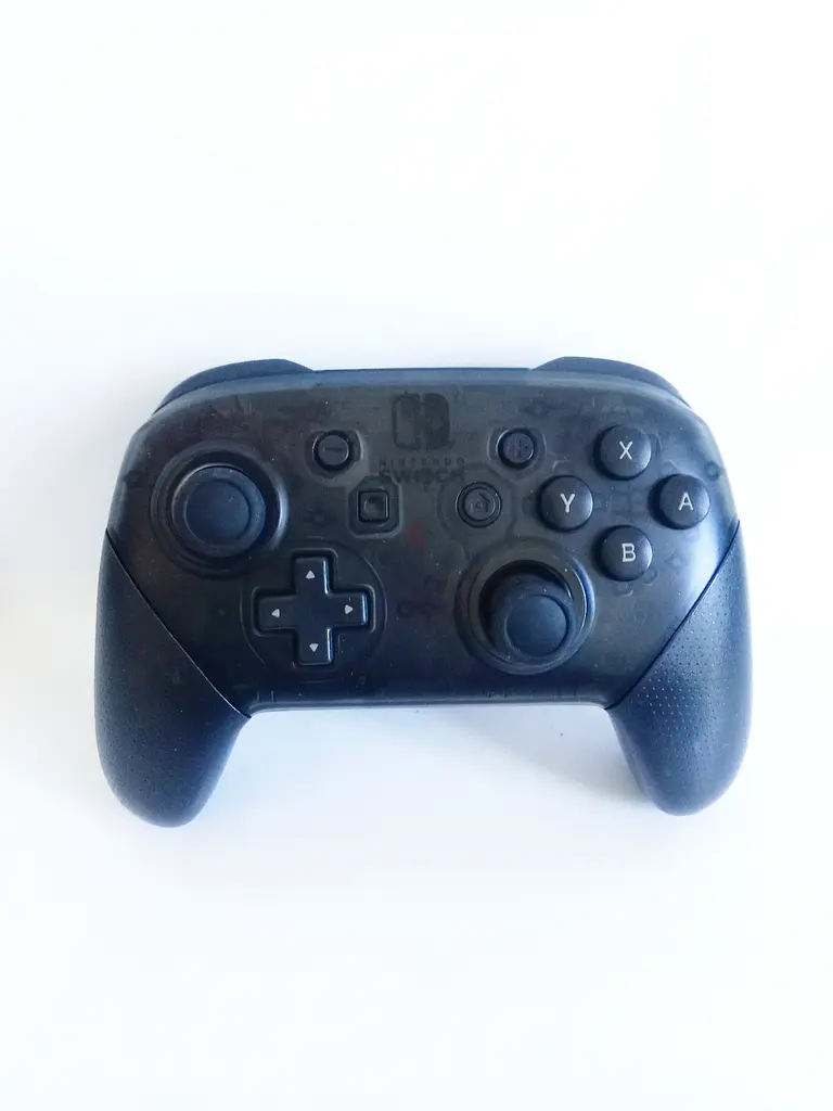 Nintendo switch pro controller