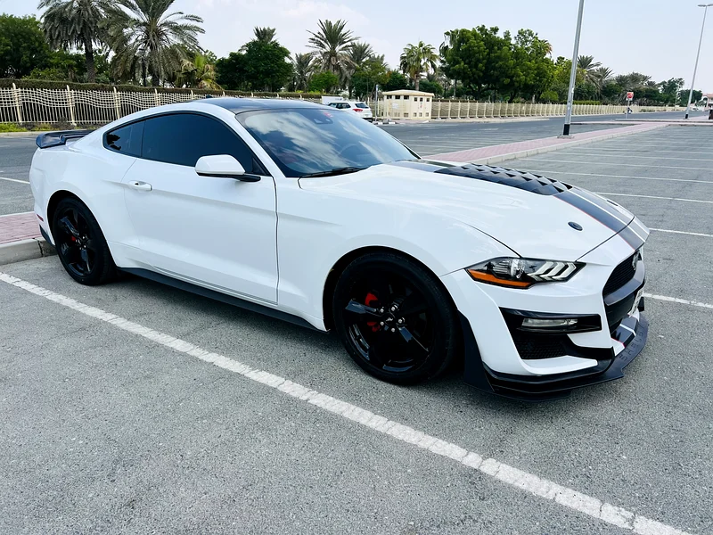 2021 Ford Mustang Ecoboost – Fully Loaded, Custom Interior, Great Condition63167558073474112