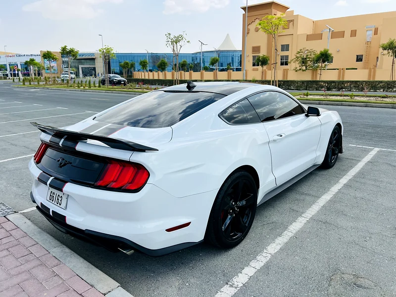 2021 Ford Mustang Ecoboost – Fully Loaded, Custom Interior, Great Condition63167558073474113