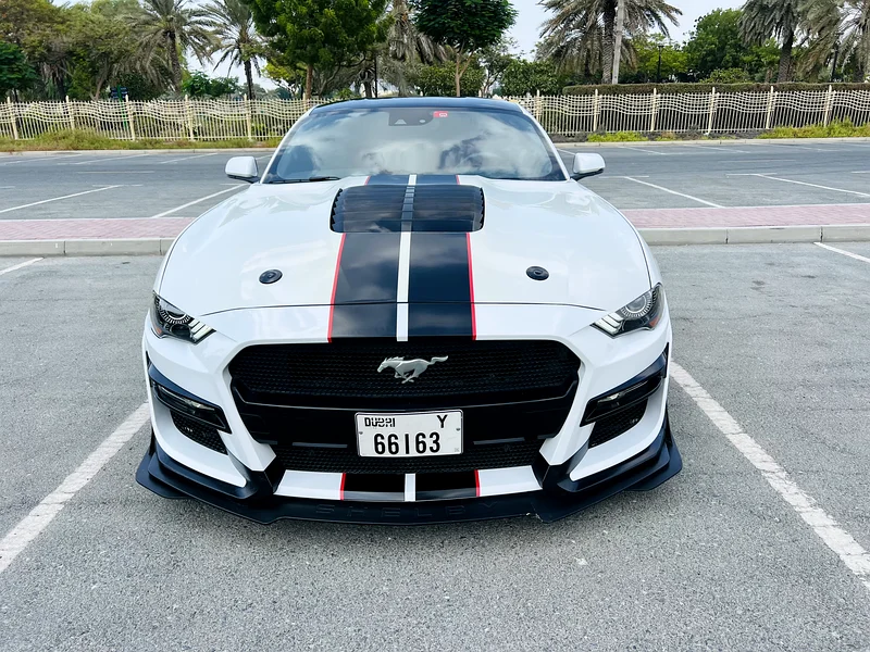 2021 Ford Mustang Ecoboost – Fully Loaded, Custom Interior, Great Condition63167558073474111