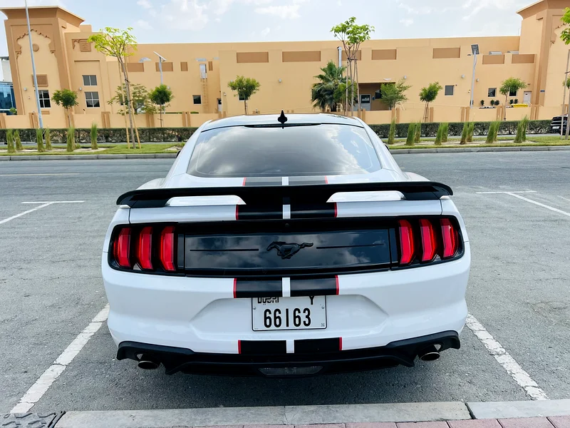 2021 Ford Mustang Ecoboost – Fully Loaded, Custom Interior, Great Condition63167558073474114