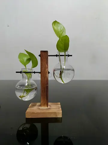 Indoor Decor Plant Flower Glass Vase Wooden Stand