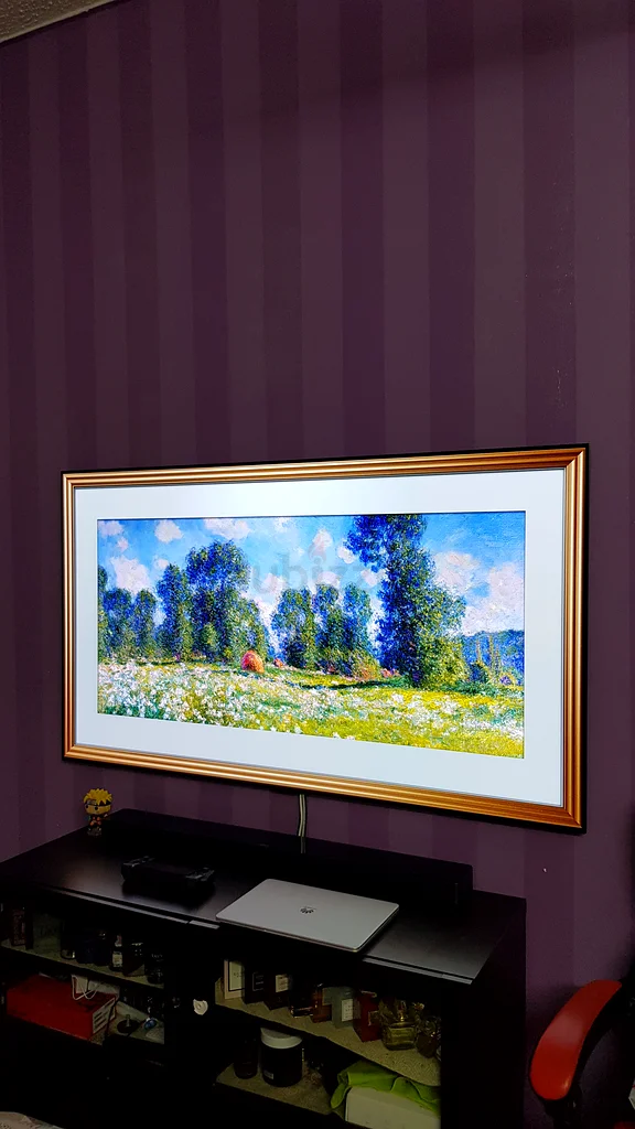 LG G1 Evo OLED 65 HDR 120Hz Gallery Design