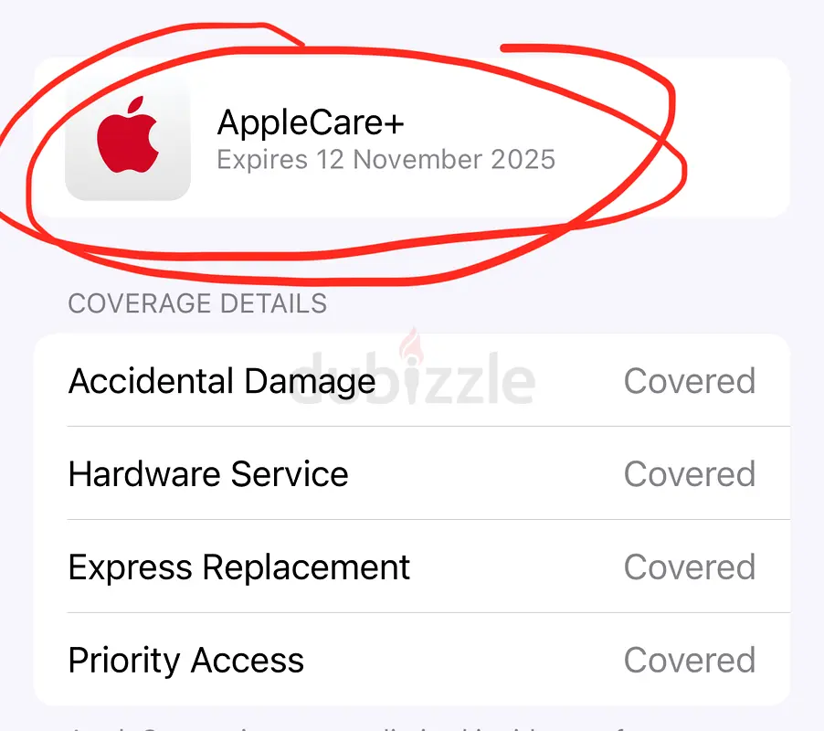 iPhone 256gb with Apple Care+ Natural Titanium