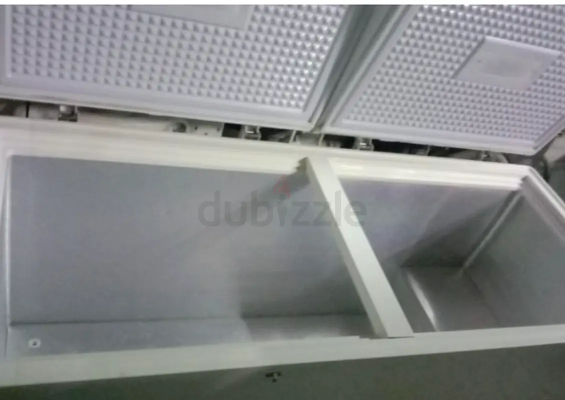2 door big size deep freezer for sale