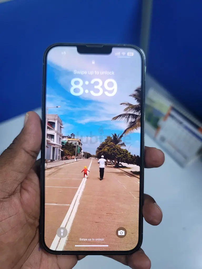 Iphone 13 pro max 256 GB