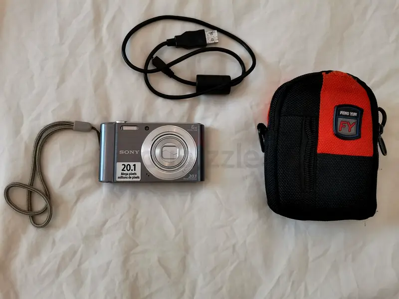 Sony Cybershot DSCW810 Silver 20.1MP Digital Camera Silver