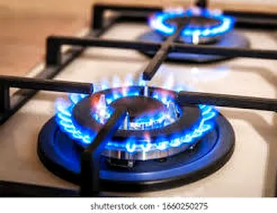 Gas cooker electric stove repair shop